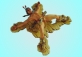 TR18.jpg (5206 byte)